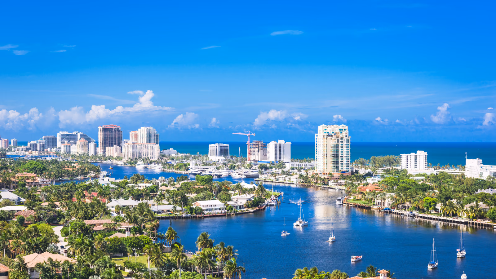 305